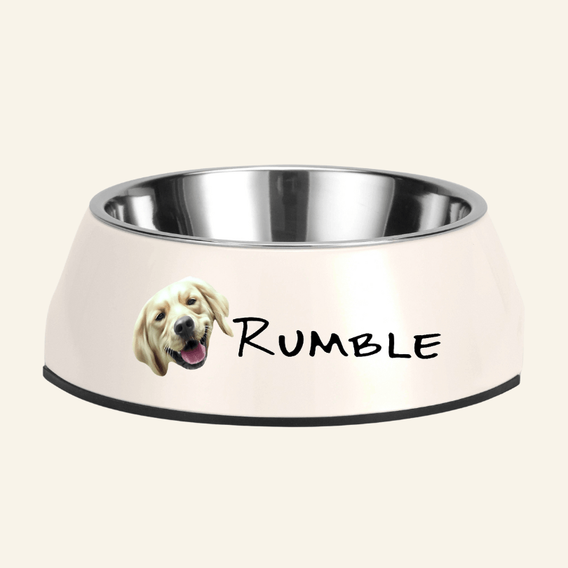 Personalised Stainless Steel Pet Bowl - Print Your Paws