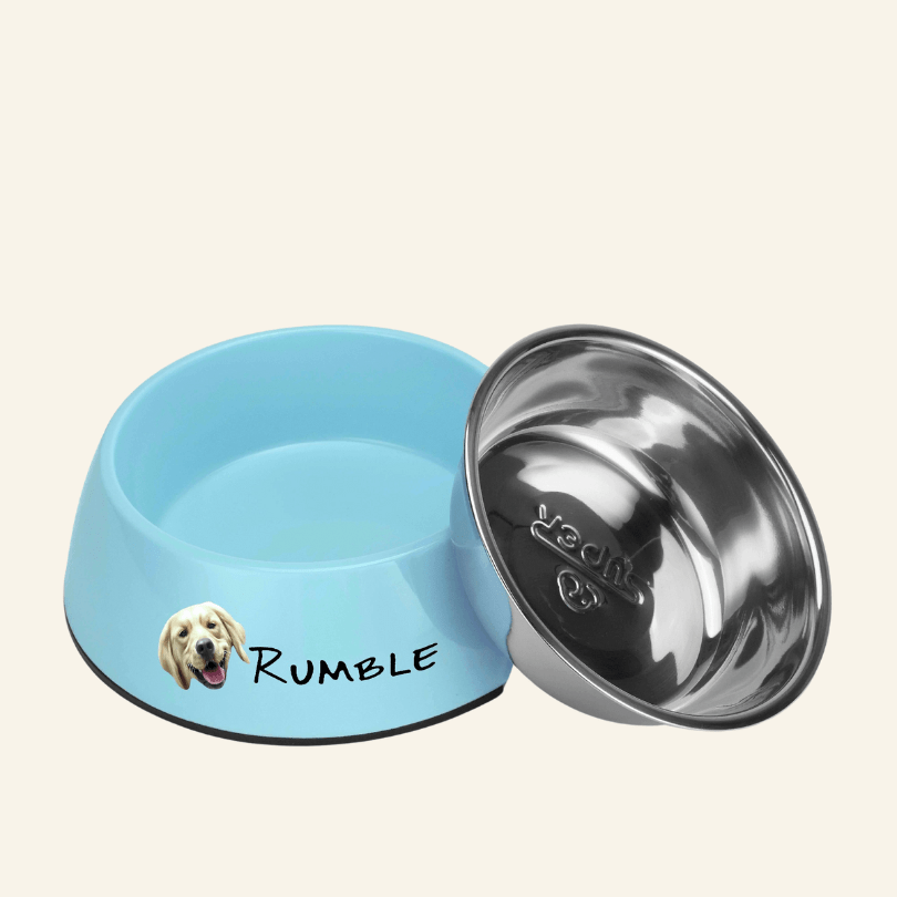 Personalised Stainless Steel Pet Bowl - Print Your Paws