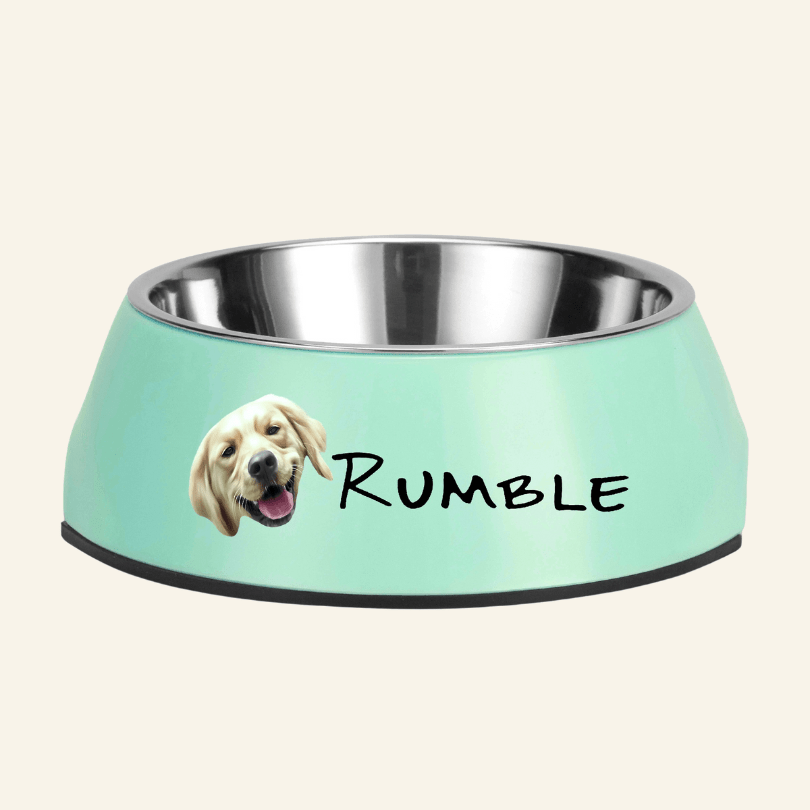 Personalised Stainless Steel Pet Bowl - Print Your Paws