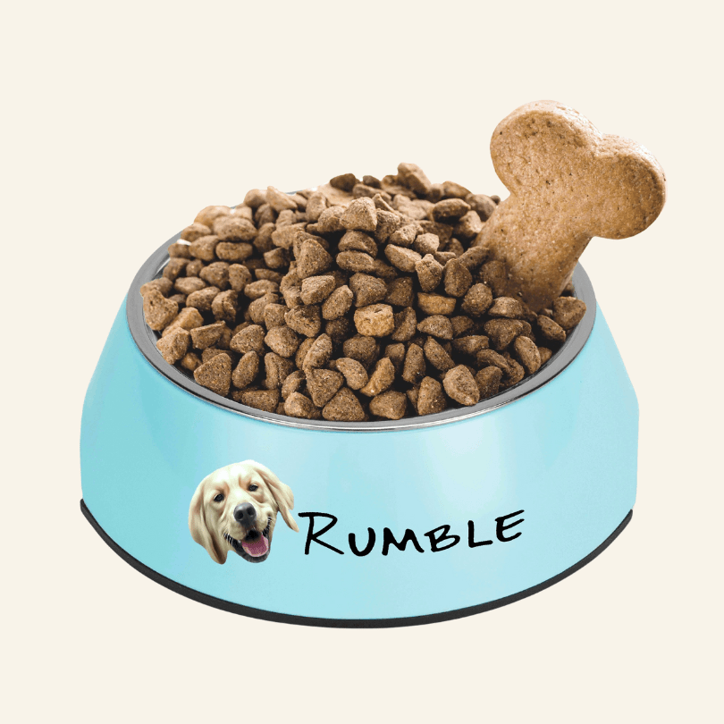 Personalised Stainless Steel Pet Bowl - Print Your Paws