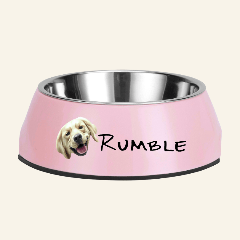 Personalised Stainless Steel Pet Bowl - Print Your Paws