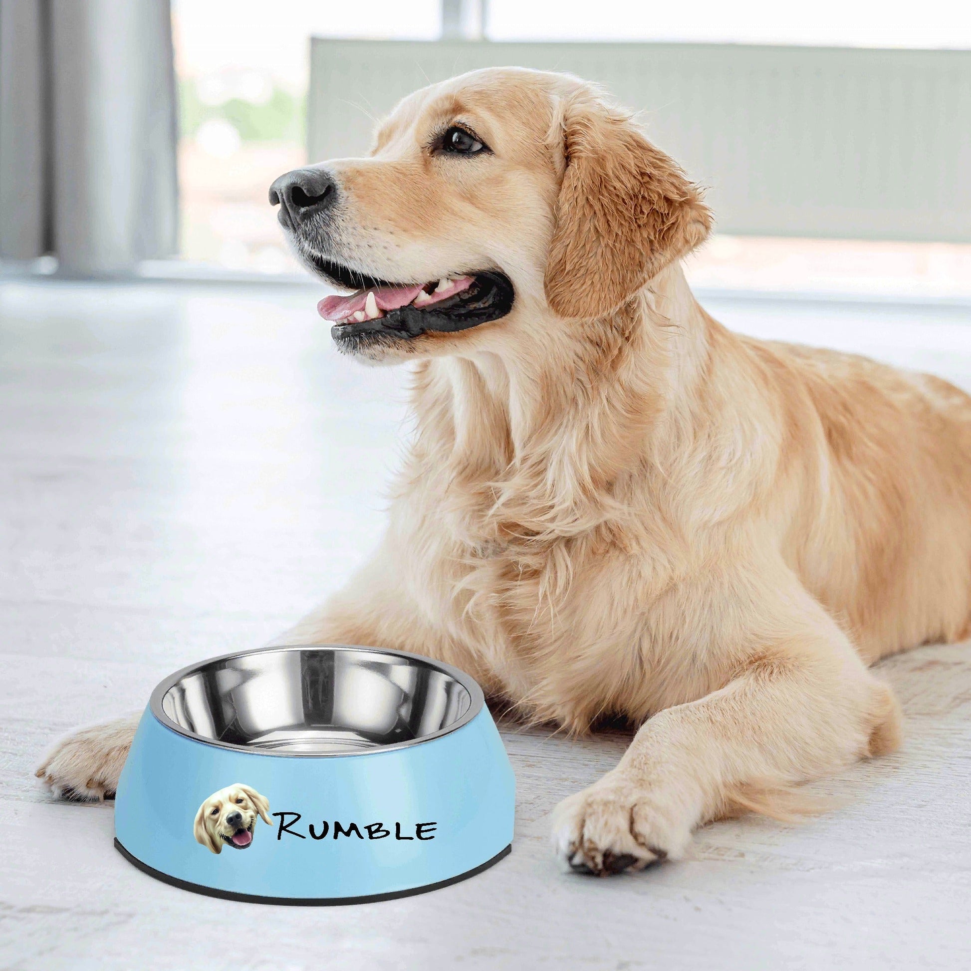 Personalised Stainless Steel Pet Bowl - Print Your Paws