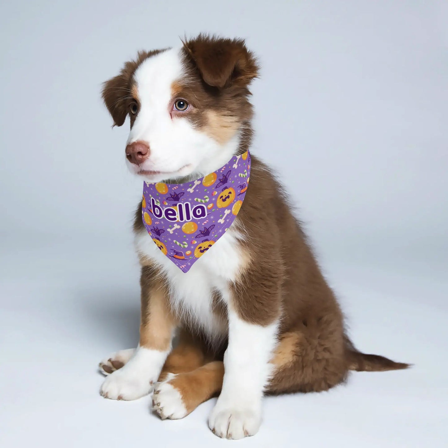 Spooky & Stylish: The Ultimate Personalized Pet Bandana!" 🎃🐾 - Print Your Paws