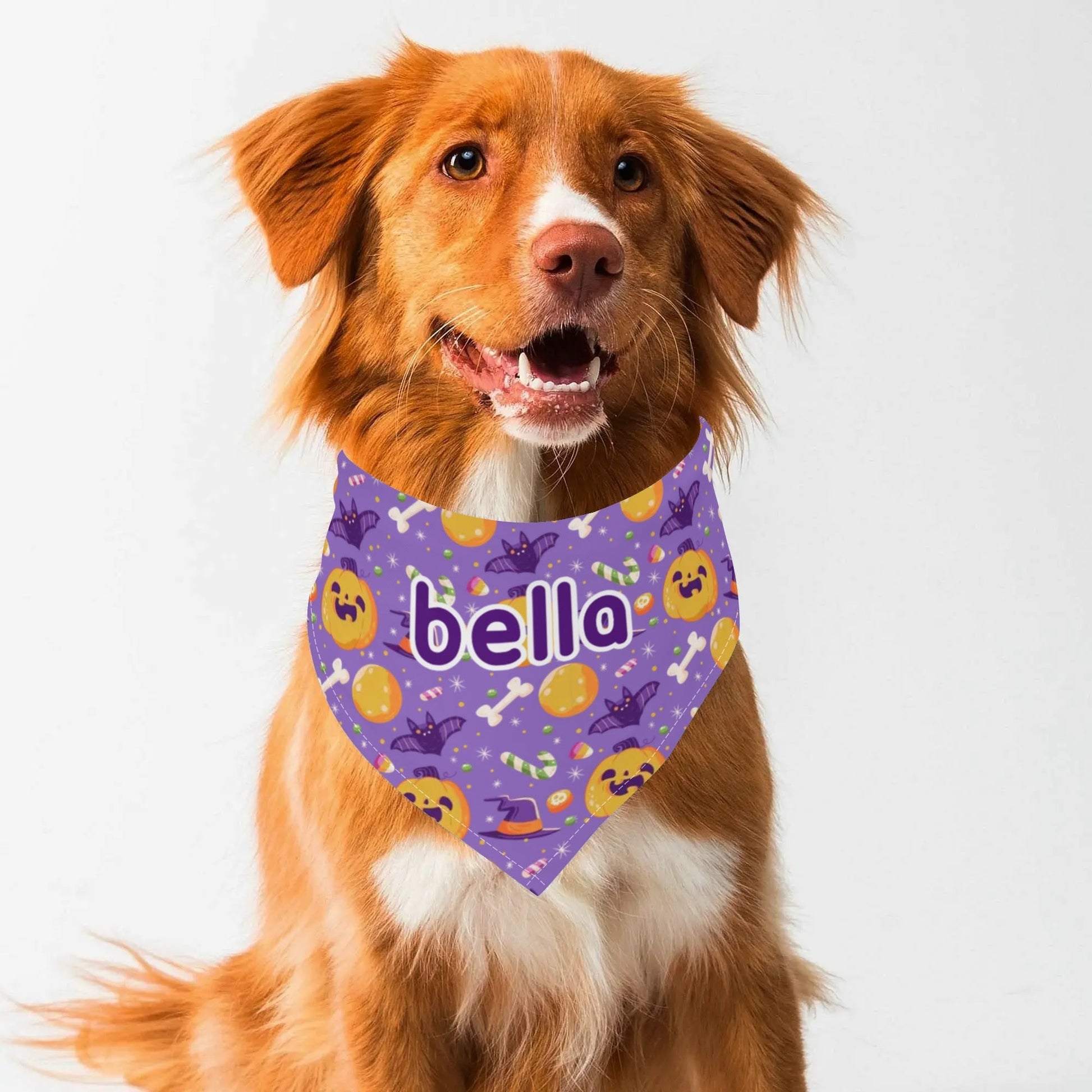 Spooky & Stylish: The Ultimate Personalized Pet Bandana!" 🎃🐾 - Print Your Paws