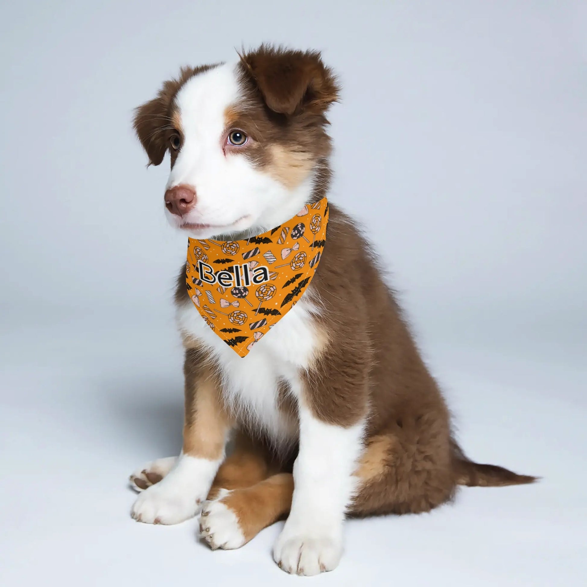 Trick - or - Treat in Style: Personalized Halloween Pet Bandana! 🎃🐾 - Print Your Paws