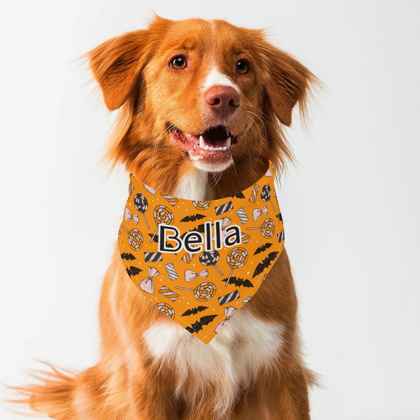 Trick - or - Treat in Style: Personalized Halloween Pet Bandana! 🎃🐾 - Print Your Paws