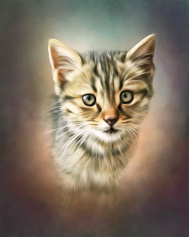 Your Custom Pet Art Digital File - Print Your Paws