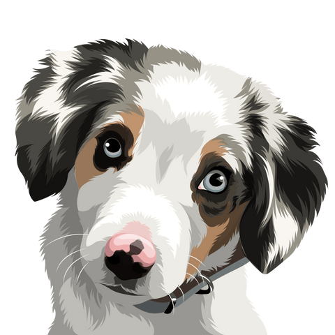 Custom Canvas Pet Art - Sketch - Print Your Paws