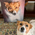 Custom Canvas Pet Art - Yearbook - Print Your Paws