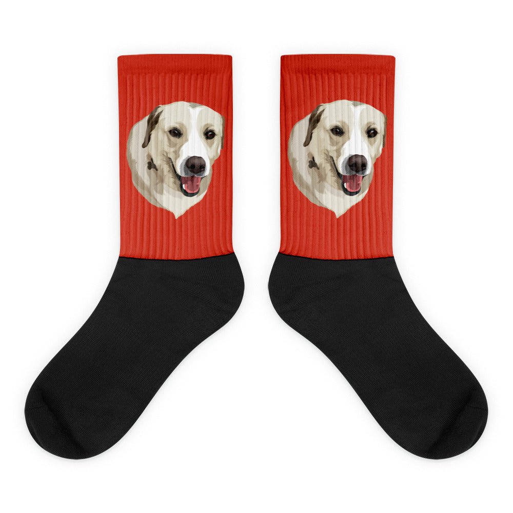 Print Your Paws - Custom Pet Socks - Print Your Paws