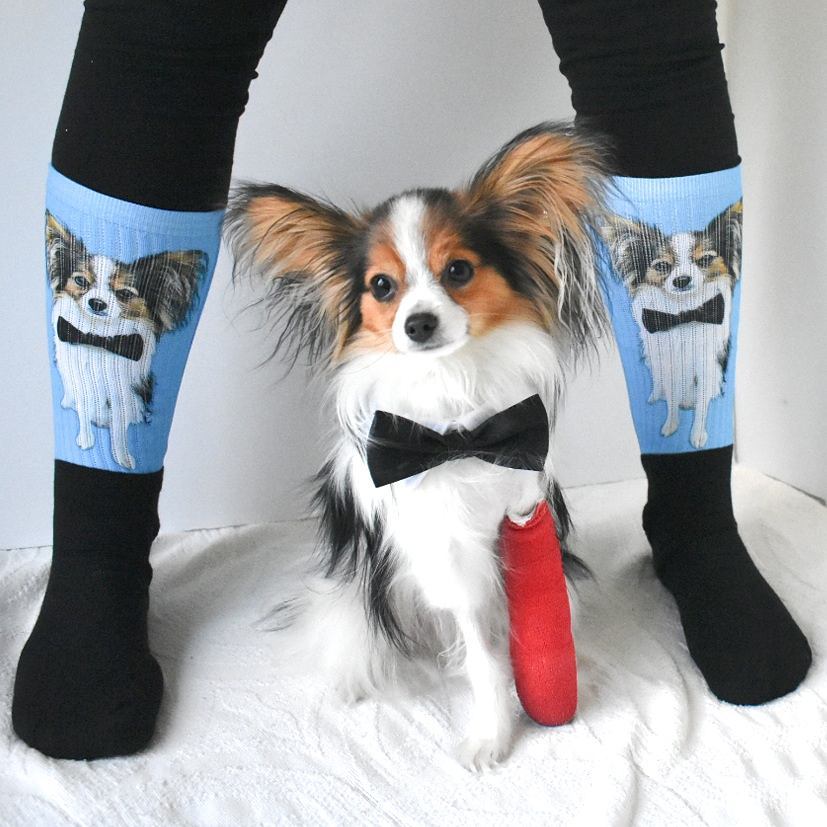 Print Your Paws - Custom Pet Socks - Print Your Paws